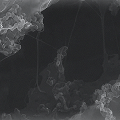 ANODES Silicon