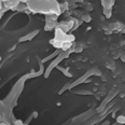 Powder <br/>coatings