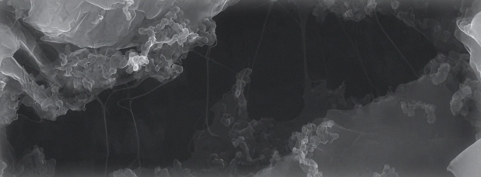ANODES <br/>Silicon