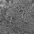 Industrial <br/>Coatings
