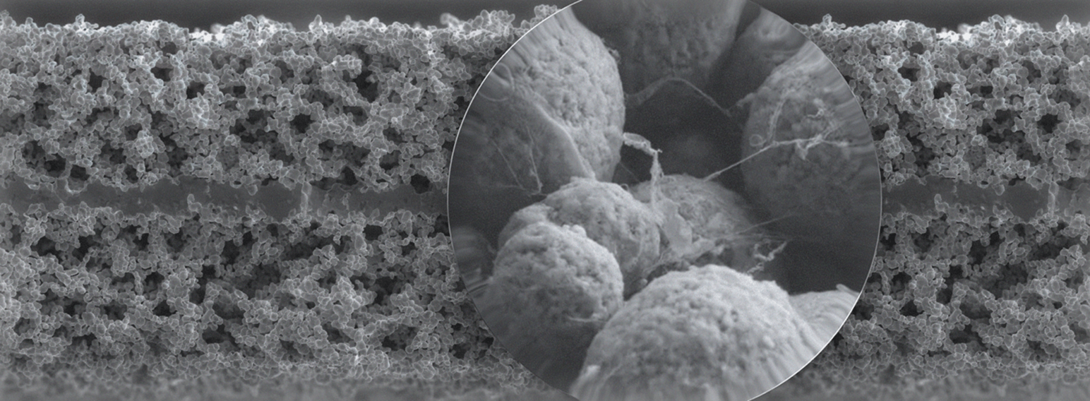 Next-generation batteries