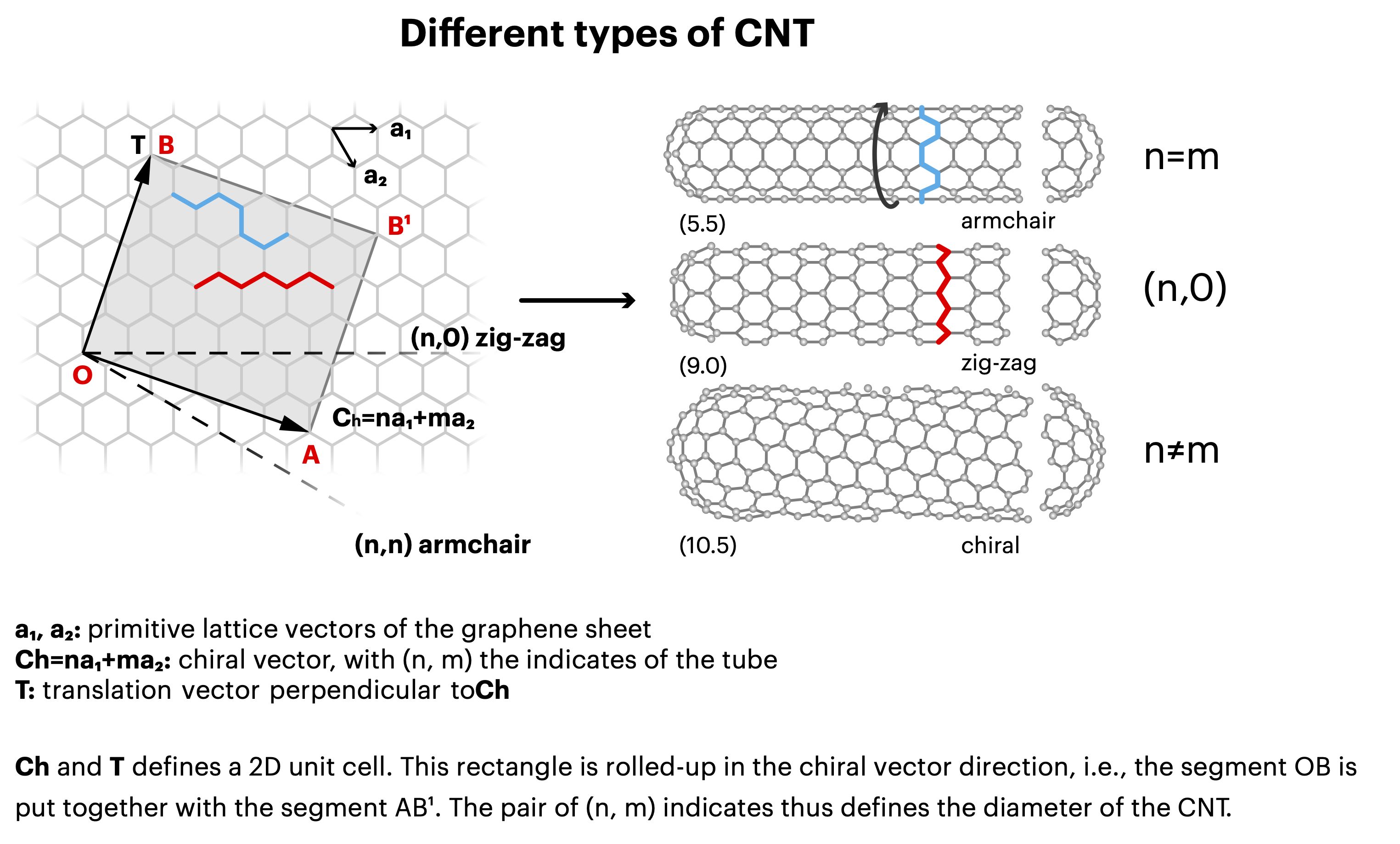 Different types of CNT