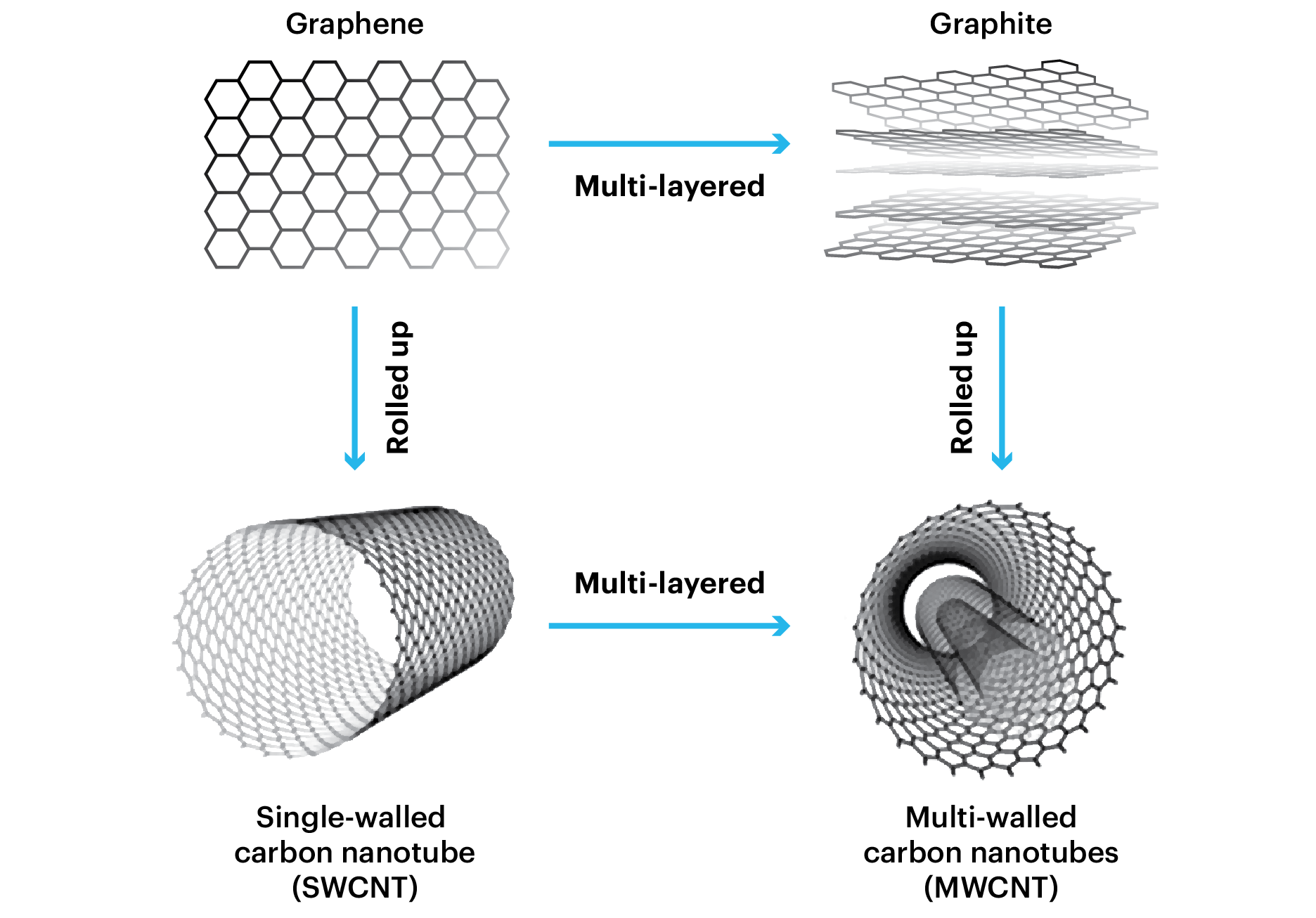 differences between single-walled and multi-walled carbon nanotubes